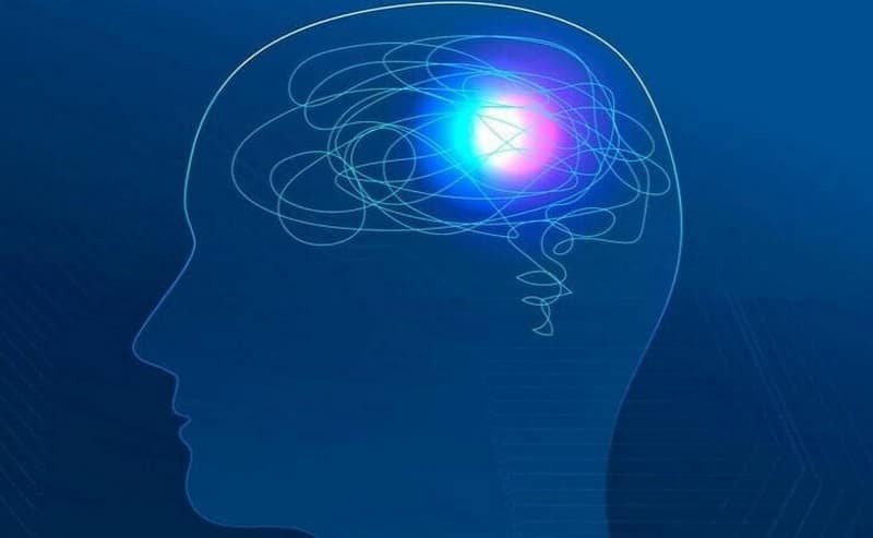 Как работает наш мозг